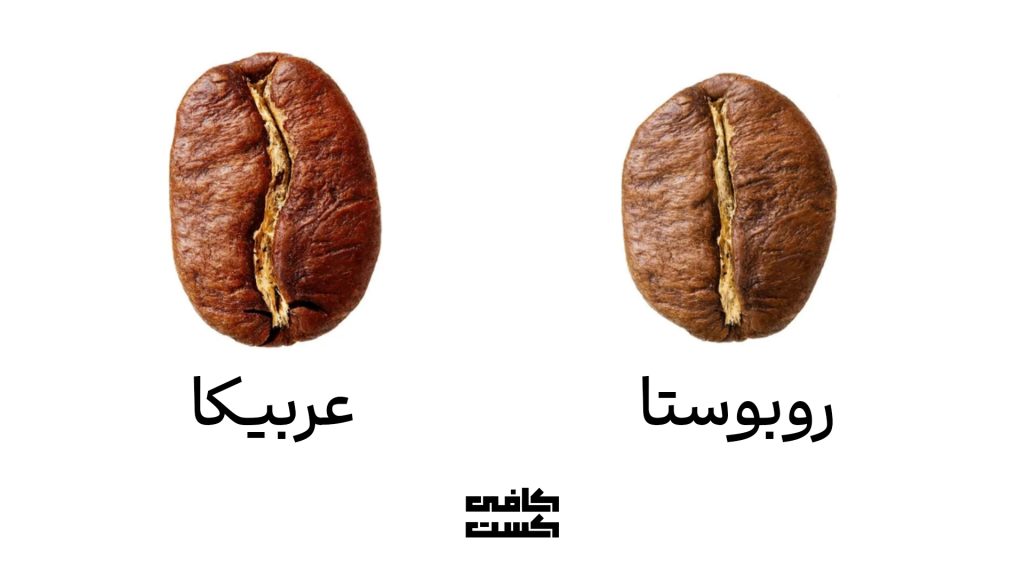 arabicarobusta